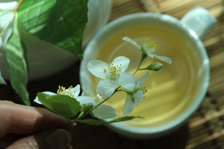 what are the effects of jasmine tea2